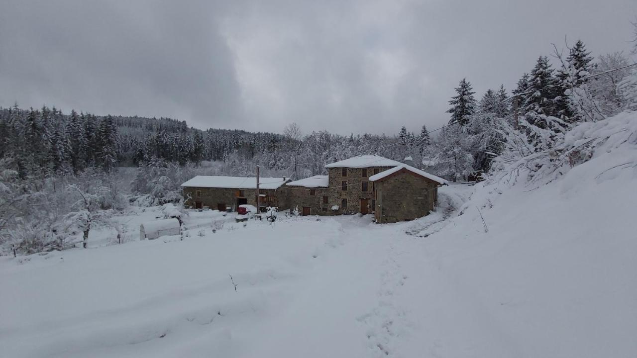 Gite Du Moulin Chenelette Exteriör bild